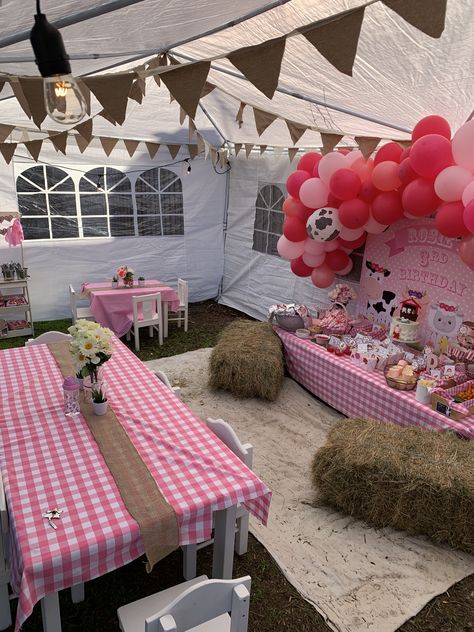 Farm Party 1st Birthday, Farm Petting Zoo Party, Pink And Red Farm Birthday, Petting Zoo Birthday Party Decorations, Petty Zoo Birthday Party, Petting Farm Birthday Party, Petting Zoo Themed Birthday Party, Petting Zoo Party Ideas, 3rd Birthday Farm Theme