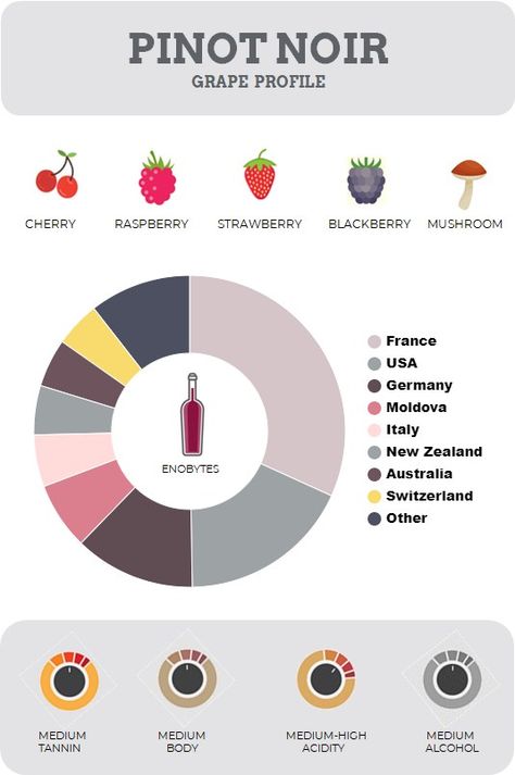 PINOT NOIR GRAPE PROFILE – Enobytes Pinot Noir Grapes, Semillon, Wine Guide, Riesling, Red Fruit, Sauvignon Blanc, Pinot Noir, Wine Drinks, Living Well