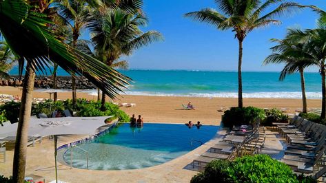 The 7 Best All-Inclusive Resorts in Puerto Rico for Families Puerto Rico Resorts, Kid Friendly Resorts, Puerto Rico Vacation, Luxury Plan, Best All Inclusive Resorts, Beachfront Hotels, Infinity Edge Pool, Caribbean Beaches, Family Resorts