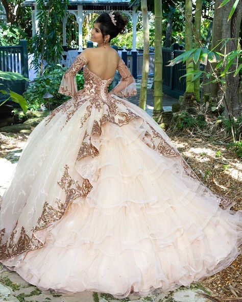 Gold Quinceanera Dresses, Rose Gold Quinceanera Dresses, Princess Quinceanera Dresses, Rose Gold Quinceanera, Xv Dresses, Mexican Quinceanera Dresses, Charro Quinceanera Dresses, Quinceanera Dresses Gold, Sweet 15 Dresses