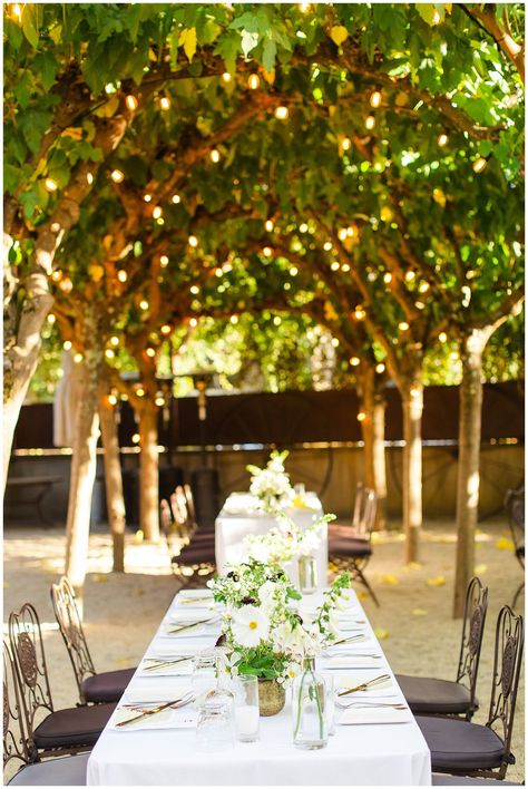 Healdsburg Wedding, Family Affair, Wedding Film, I Know It, Twinkle Lights, Backyard Ideas, My Favorite Things, Event Space, California Wedding