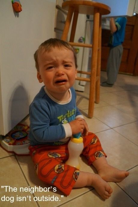 Hilariously Irrational Reasons Toddlers Have Had Crying Fits - Memebase - Funny Memes Reasons Kids Cry, Temper Tantrums Toddler, Crying For No Reason, Tantrum Kids, Magic Beans, Temper Tantrums, Sleep Tips, Cute Funny Babies, Baby Crying