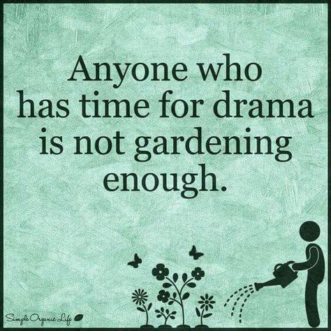 If you have drama in your life, start a #garden! Meditation Garden, Garden Quotes, Garden Signs, Awesome Things, The Words, Great Quotes, Garden Inspiration, Inspirational Words, Wise Words