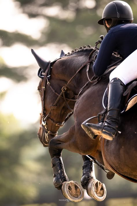 Show Jumping Photography, English Equestrian Aesthetic, Horse Jumping Photography, Showjumping Aesthetic, Horseback Riding Outfit, Aesthetic Equestrian, Horses Aesthetic, Riding Outfit Equestrian, Equine Photography Poses