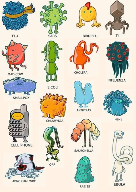 Microbiome Illustration, Bacteria Drawing, Bacteria Cartoon, Science Project Models, Biology Drawing, Cells Project, Biology Projects, Scrapbook Cover, Biology Facts