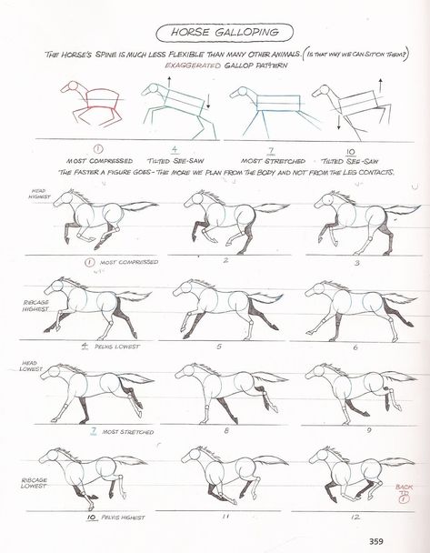 Run Cycle Reference, Horse Running Drawing, How To Draw Horses, Horse Drawing Tutorial, Running Drawing, Horse Animation, Horse Art Drawing, Horse Running, Run Cycle