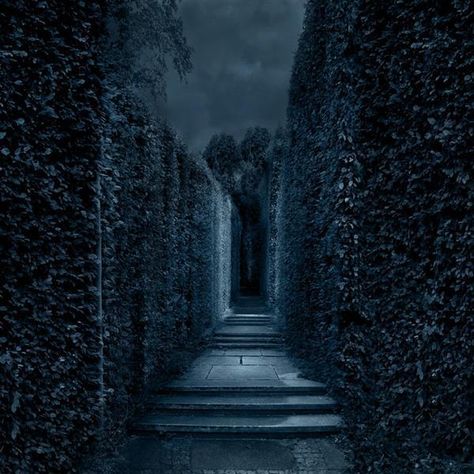 Creepy Woods, Gothic Background, Labyrinth Garden, Crimson Rivers, Haunted Maze, Night Forest, Slytherin Aesthetic, Gothic Aesthetic, The Labyrinth