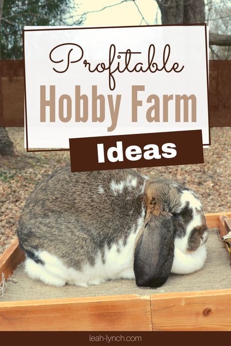 Hobby Farm Ideas, Hobby Farms Layout, Moderne Pools, Micro Farm, Backyard Design Ideas Budget, Backyard Design Ideas, Farm Plans, Homestead Farm, Farm Layout