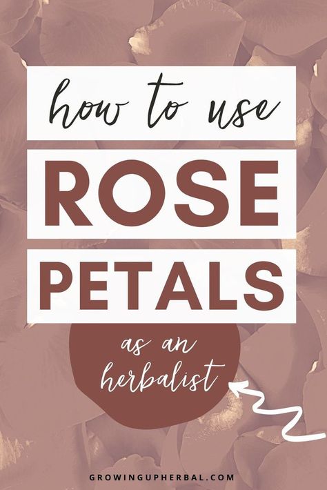 Rose Tincture, Rose Petals In Water, Rose Vinegar, Petals In Water, Herb Oil Recipe, Rose Petal Recipes, Rose Petal Uses, Herbal Preparations, Face Wash Recipe