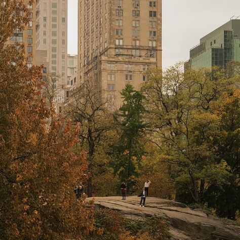 Ethan Barber, Amber Sky, Fall Mood Board, Autumn In New York, Nyc Aesthetic, New York Aesthetic, Best Seasons, Dream City, We Fall In Love