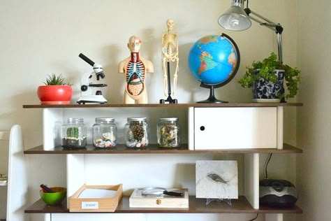 Science Aesthetic Room, Science Themed Room, Kids Science Lab Room Ideas, Science Bedroom Ideas, Science Room Ideas, Science Bedroom Aesthetic, Science Room Aesthetic, Science Laboratory Aesthetic, Science Playroom