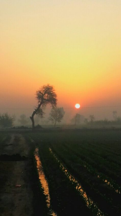 Morning Vibes Snap, Village Vibes, Punjabi Culture, Islamic Background, Punjab Pakistan, Village Photos, Beautiful Scenery Photography, Sunrise Pictures, Png Art