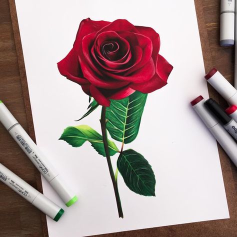 🌹 Roses Drawing Tutorial, Beautiful Rose Drawing, Realistic Rose Drawing, Mix Media Painting, Rose Drawing Simple, Realistic Rose Tattoo, Color Pencil Drawings, Rose Outline, Rose Drawing Tattoo