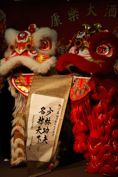 Chinese Lion Dance Costume, Chinese New Year Aesthetic, Chinese Culture Aesthetic, Lion Dragon, Chinese Lion Dance, Chinese Lion, Textiles Sketchbook, Festival Aesthetic