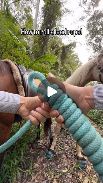 Diy Lead Rope, Tack Storage, Horse Hacks, Roping Horse, Barn Hacks, Horse Lead, Roping Saddles, How To Roll, Saddle Horse