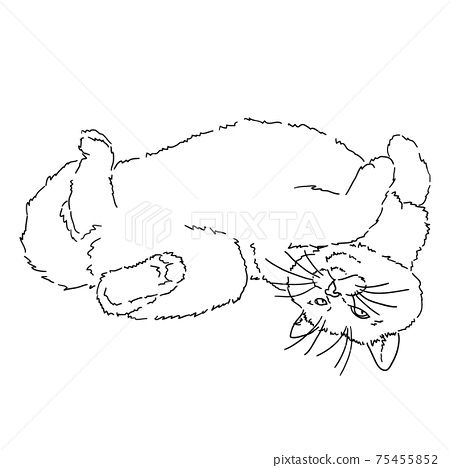 Drawing of a fat fluffy cat lying on its back, holding its paws up. Funny cat. Black and white linear isolated illustration. Stock vector image Cat Lying On Back Drawing, Lying Cat Drawing, Stretching Cat Drawing, Stretching Cat Tattoo, Cat Lying Down Drawing, Cat Stretching Drawing, Cat Lying On Back, Cat Laying Down Drawing, Fat Cat Drawing