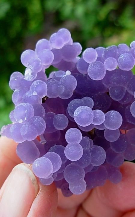 Grape AgateBotryoidal Amethyst Grape Agate Aesthetic, Star Shaped Grapes, Star Grapes, Grape Aesthetic, Futuristic Food, Grape Amethyst, Overlays Tumblr, Tiffany Stone, Grape Agate