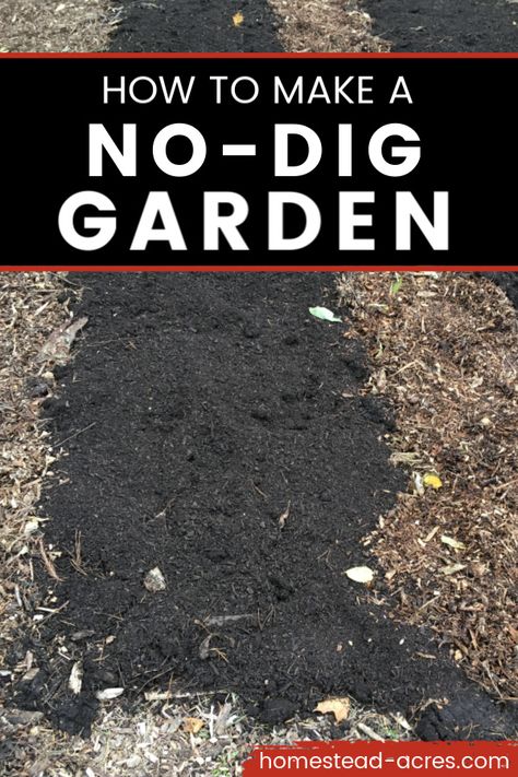 No Dig Gardening Raised Beds, No Dig Gardening, Garden Beds Diy, Easy Garden Beds, Easy Garden Ideas Landscaping, Start A Vegetable Garden, Raised Garden Beds Diy Vegetables, Tree Mulch, Beds Diy