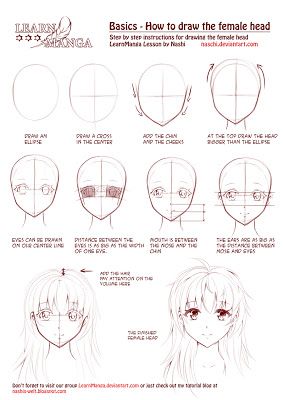 nashi's world: Learn Manga: How to draw the female head Anime Face Drawing, Manga Tutorial, 얼굴 드로잉, Drawing Tutorial Face, Anime Tutorial, Anime Head, 얼굴 그리기, Manga Drawing Tutorials, Drawing Heads