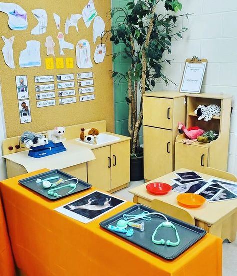 Pet Hospital Dramatic Play, Vet Shop Dramatic Play, Wildlife Rescue Dramatic Play, Pet Adoption Dramatic Play, Dramatic Play Animal Shelter, Community Helpers Preschool Dramatic Play, Vet Play Center For Kids, Animal Hospital Dramatic Play, Animal Shelter Dramatic Play