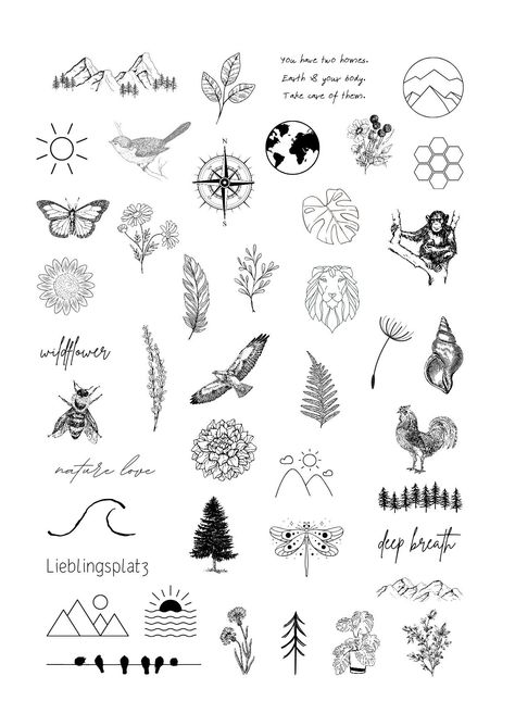 A sheet of temporary adhesive tattoos with nature motifs. Included in the delivery are a tattoo sheet, instructions and a non-mirrored printout to see how the tattoos will look on the skin. Please also take a look at our other articles. Nature Dainty Tattoo, Plant Diagram Tattoo, Tiny Nature Tattoo Simple, Small Tattoos Plants, Dainty Desert Tattoo, Nature Patch Work Tattoo, Tiny Tattoos Nature, Small Nature Inspired Tattoos, Patchwork Tattoo Ideas Nature