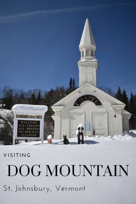 Stephen Huneck, Dog Mountain, Dog Friendly Hotels, Landing Page Template, Roadside Attractions, Planning Guide, Dog Travel, Local Business, Call To Action