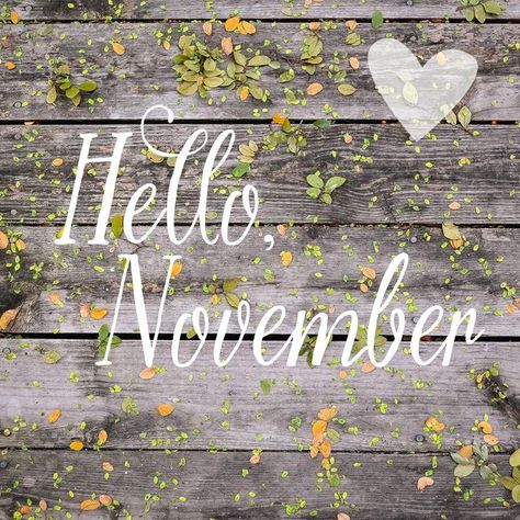 . . . . .and all the blessings that you have to offer    .   .   . November Pictures, November Images, Neuer Monat, Welcome November, November Quotes, Seasons Months, Monthly Quotes, Sweet November, Inspiring Books