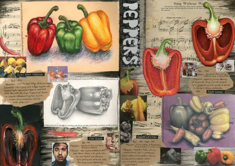 Food Gcse Art Sketchbook, Tone Sketchbook Page, Gcse Art Pepper Page, Gcse Art Sketchbook Tone, Tone And Form Gcse Art, Gcse Art Artist Research Page Food, Art School Sketchbook Ideas, Gcse Art Sketchbook Food Theme, Art Preparatory Work Ideas