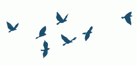 Flock Of Birds Birds Sticker - Flock Of Birds Birds Flying - Discover & Share GIFs Fly Gif, Bird Clipart, Bird Gif, Flock Of Birds, Birds Flying, Flocking, Blue Bird, Animated Gif, Cool Gifs