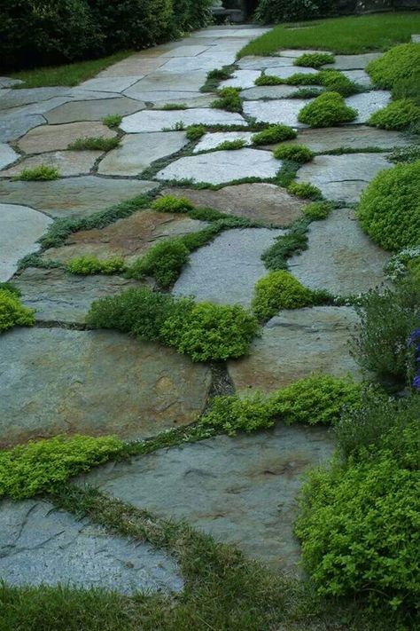 Paved Front Yard, Sloped Gravel Path, Flagstone And Pea Gravel Pathway, Flagstone Path With Gravel, Flagstone Pathway Pea Gravel, Pebble Walkway Pathways Gravel Path, Flagstone Pathway In Grass Paths, Stone Garden Paths, Side Garden