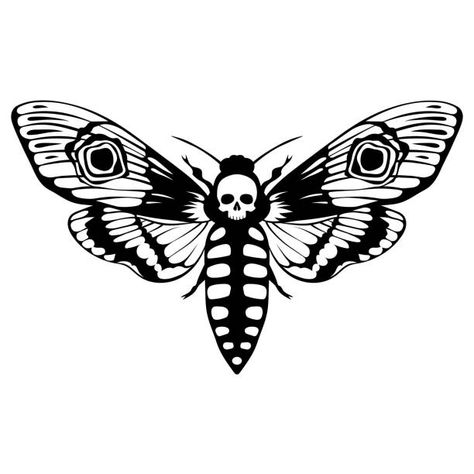 1,000+ Skull Moth Stock Photos, Pictures & Royalty-Free Images - iStock Watch Tattoo Design, Moth Drawing, Moth Tattoo Design, Skull Moth, Deaths Head Moth, Hawk Moth, Moth Tattoo, Watch Tattoos, Drawing Heads