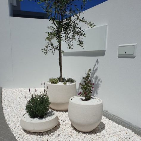 Cactus And Stone Landscape, Garden Ideas White Stones, Stone Pots For Plants, White Stone Garden Ideas, White Stones Garden Ideas, Pots On Gravel, White Pebbles Landscape, Garden Pebbles Landscaping, White Stone Landscaping