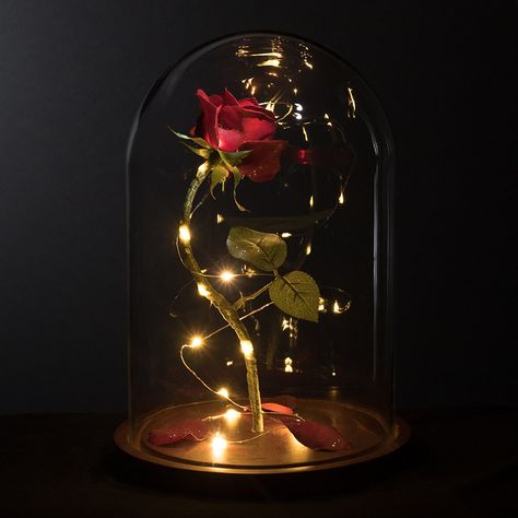 Rose In A Glass Dome, Rose In A Glass, Enchanted Rose, Glass Dome, A Rose, The Beast, Red Rose, Fairy Lights, Beauty And The Beast