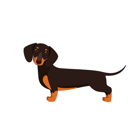 Arte Dachshund, Dachshund Drawing, Dachshund Cartoon, Unusual Animal Friendships, Daschund Dog, Dachshund Illustration, Dachshund Birthday, Dog Logo Design, Dachshund Design