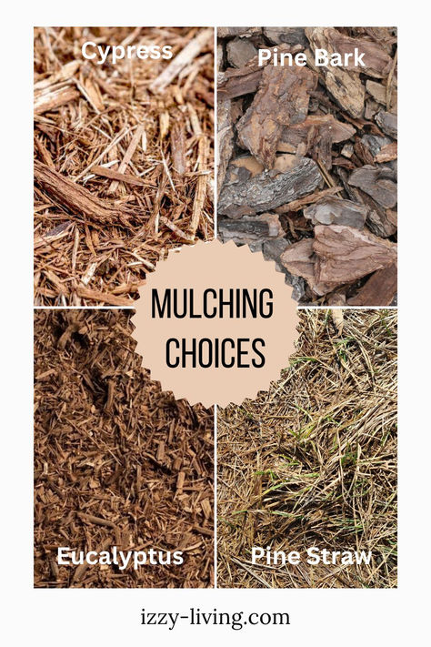 Types Of Mulch, Florida Landscape, Patio Plants, The Soil, What Type, Mulch, Paint Color, Landscape Design, Are You The One