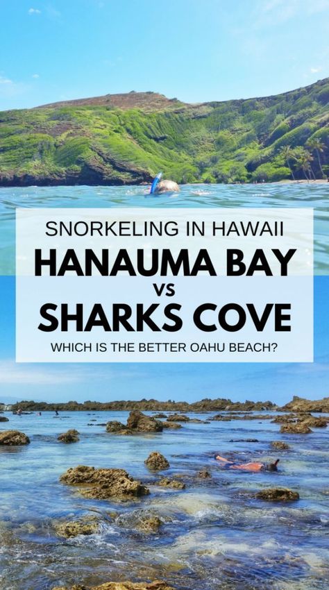 hawaii vacation ideas. best things to do in oahu hawaii itinerary. best snorkeling spots day trip waikiki, honolulu, north shore Hawaii Swimming, Beaches In Hawaii, Things To Do In Oahu, Hawaii Packing, Hawaii Itinerary, Oahu Beaches, Oahu Vacation, Hanauma Bay, Hawaii Travel Guide