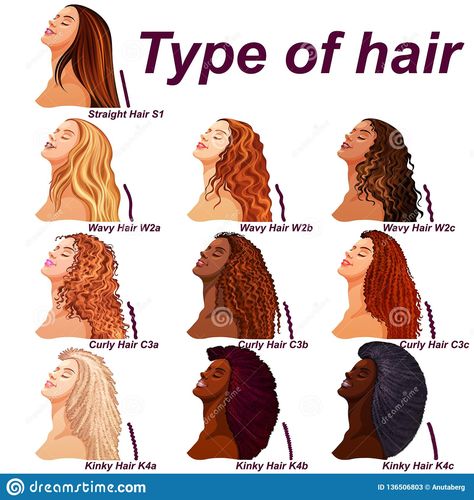 Hair Type Chart, Hairstyle Names, Download Hair, Curly Hair Types, Types Of Hair, Different Hair Types, Game Day Hair, Athletic Hairstyles, Curly Bob Hairstyles