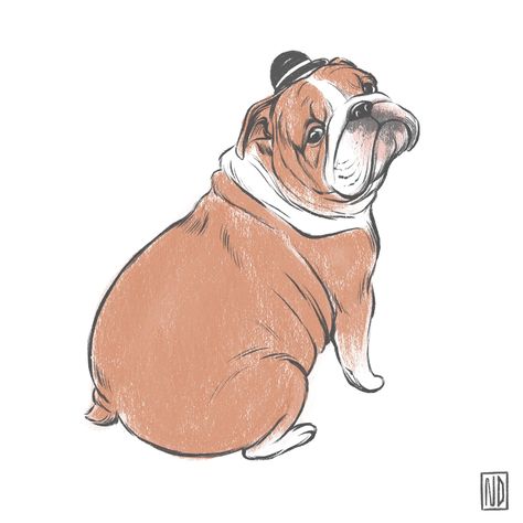 Just drew this little bulldog in a bowler hat yesterday. I hope he brings you joy. (OC) #bulldog #bulldogpuppies #frenchbulldog Nichole Daniels, Exotic Bully, Ako Kresliť, Bulldog Illustration, Bulldog Drawing, Olde English Bulldogge, Christmas Sketch, Card Inspo, Cute Bulldogs