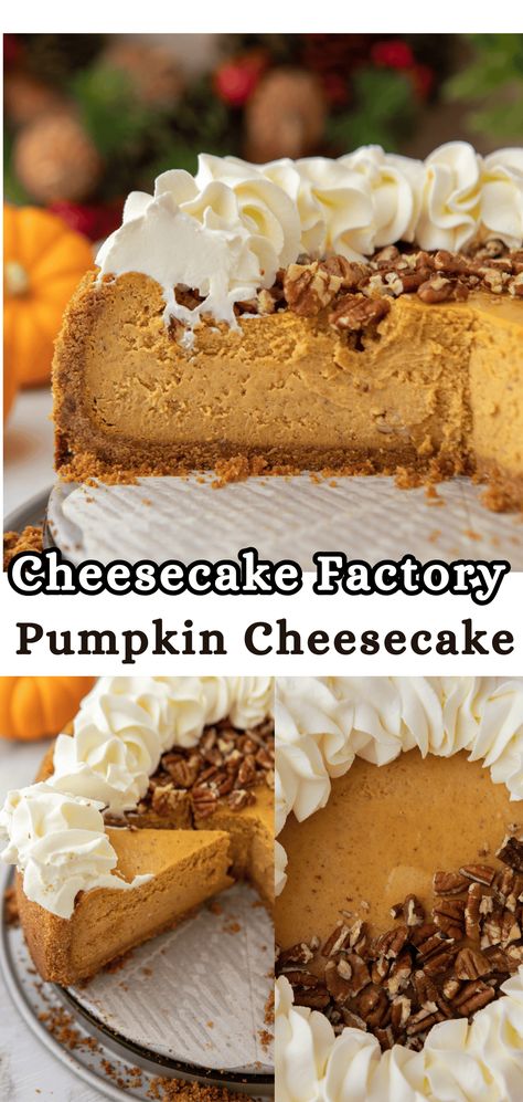 Cheesecake Factory Pumpkin Cheesecake Spice Cheesecake Recipe, Pumpkin Ginger Cheesecake, New York Style Pumpkin Cheesecake, Pumpkin New York Cheesecake, Pumpkin Cheesecake No Sour Cream, Small Pumpkin Cheesecake Recipe, Punkin Cheesecake Recipes, Pumpkin Cheesecake Recipes Easy, Punkin Cheesecake