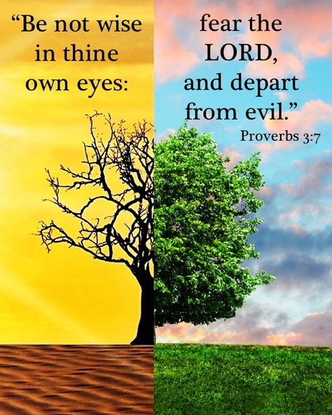 Proverbs 3:7 KJV – KJV Bible Verses Proverbs 3 7, Inspiring Bible Quotes, Evangelism Quotes, Kjv Bible Verses, Bible Proverbs, Bible Wisdom, 5 Solas, Scripture Images, Bible Verses Kjv