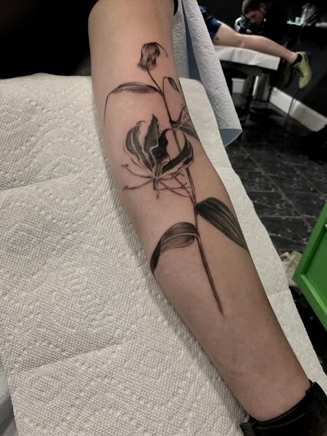 Gloriosa Lily Tattoo, Flame Lily Tattoo, Wilting Flower Tattoo, My Way Tattoo, Lily Flower Tattoos, Arm Tats, Lily Tattoo, Botanical Tattoo, Top Tattoos