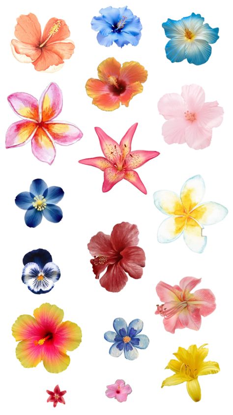 #flowers #collage #aesthetic #watercolor #painting #WatercolorFlowers #viralpost #hibiscus Aesthetic Watercolor Painting, Flowers Collage, Aesthetic Watercolor, Flower Collage, Painting Collage, Hibiscus Flower, Hibiscus Flowers, Viral Post, Watercolor Flowers