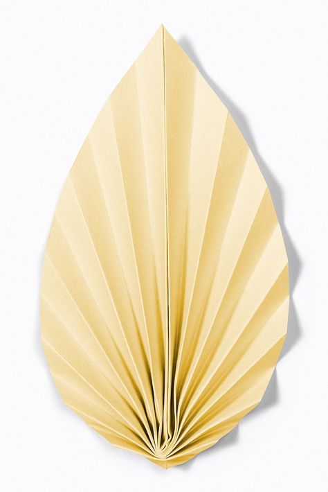 Paper craft fan palm leaf psd mockup | free image by rawpixel.com / Minty Palm Leaf Template, Fan Palm Leaf, Photo Elements, 3d Paper Art, Fan Palm, Paper Leaves, Leaf Template, Paper Fans, Art 3d