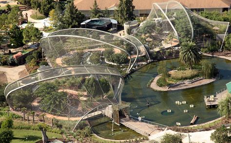 Landscaping Zoo Exhibit, Planet Zoo Inspiration, Zoo Inspiration, Zoo Project, Zoo Design, Zoo Architecture, Zoo Park, Zoo Ideas, Bird Aviary