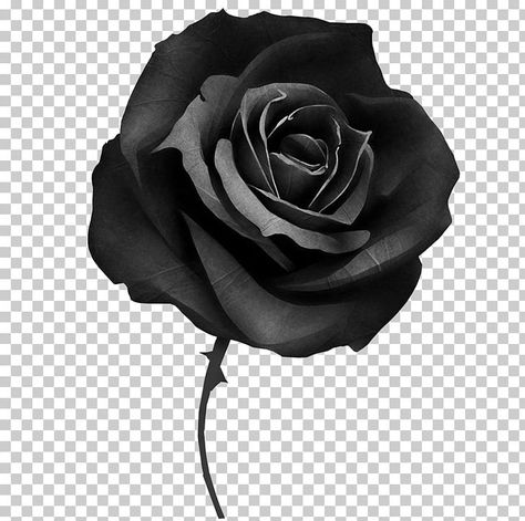 Black Rose Tattoo Coverup, Rose Cover Up Tattoo, Rose Tattoo Cover Up, Dark Roses Tattoo, Cover Up Tattoos For Men, Tatuaje Cover Up, Wrist Tattoo Cover Up, Rose Tattoo Sleeve, Black Tattoo Cover Up