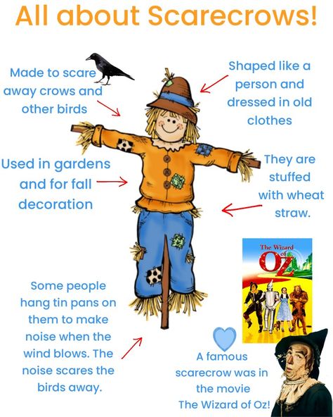 Scarecrow Science Preschool, Scarecrow Science Activities, Scarecrow Activity Preschool, Scarecrow Dramatic Play Preschool, Scarecrows Activities For Preschool, Scarecrow Games Preschool, Scarecrow For Preschool, Scarecrow Bible Lesson, Scarecrow Lesson Plans For Toddlers