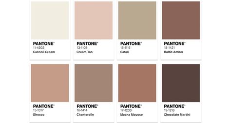 PANTONE® USA | PANTONE 17-1230 Mocha Mousse Color Palettes Mocha Mousse Palette, Pantone Mocha Mousse 2025, Mocha Mousse Pantone, Brown Pantone, Colour Pallettes, Trend 2025, Mocha Mousse, Pantone Palette, Pantone Colour Palettes