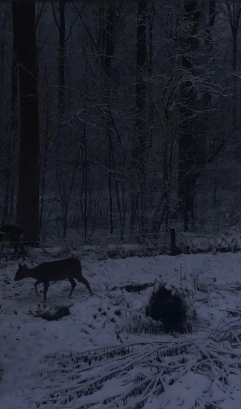 a deer in the snow Snowy Dark Academia, Dark Academia Snow Aesthetic, Scary Winter Aesthetic, Dark Academia Winter Aesthetic, Dark Academia Snow, Insane Academia, Dark Snowy Forest, Northern Gothic, Dark Christmas Aesthetic