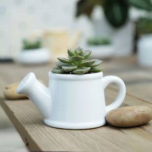 Watering Can Shaped Mini Planter - flowers & plants Cute Watering Can, Plant Watering Can, Stone Plant, Raised Flower Beds, Metal Planter Boxes, Wooden Planter Boxes, Plastic Plant Pots, Barrel Planter, Fiberglass Planters