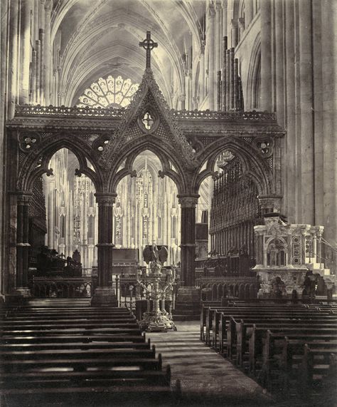 Durham Cathedral Rood Screen Cathedral Altar, Rood Screen, St Johns College, Gothic Arch, Durham Cathedral, Gothic Cathedral, Artist Alley, Church Architecture, Post Apocalypse